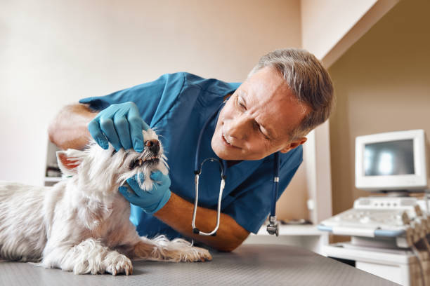 Best Mobile Emergency Dentist in Manchester, GA